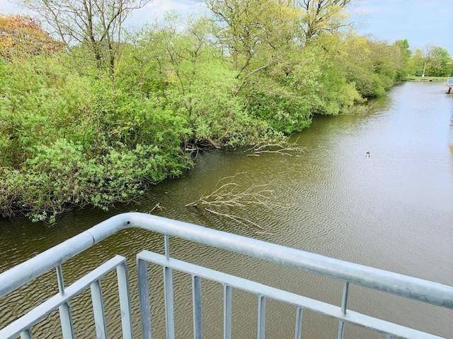 Gemütliche, gepflegte Ferienwohnung in Strandnähe, eigene Sauna, Hunde erlaubt — photo 3