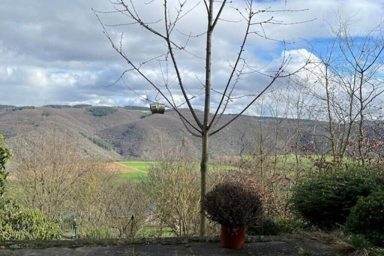 Ferienwohnung Bacharach