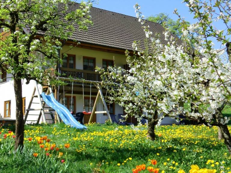 Ferienwohnung  Denzlingen