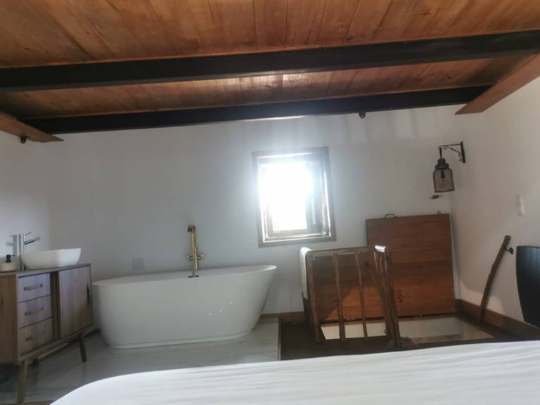 foto19