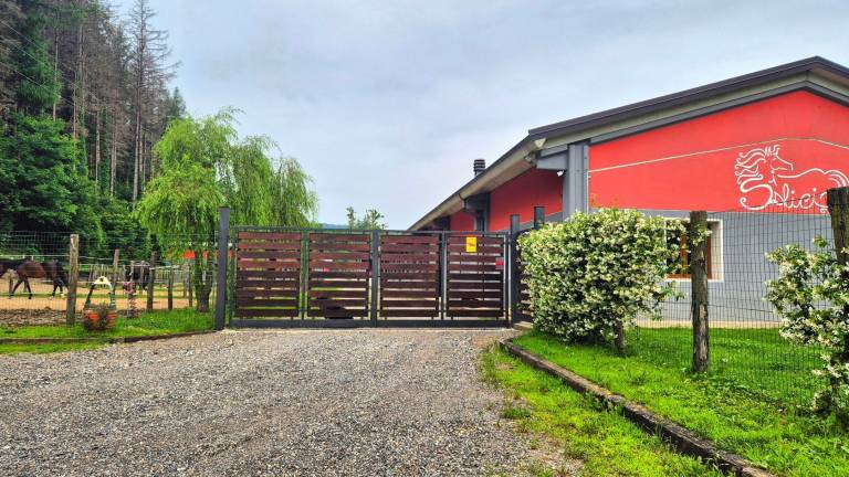 Family-friendly pleasant house with yard | Mountain view | Pets allowed — photo 2