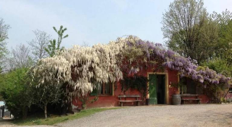Farm with patio & garden | Pets are welcome in Novi Ligure