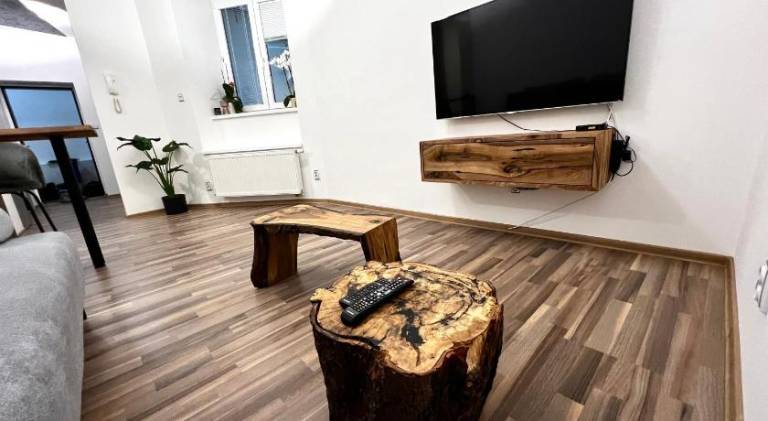 Apartment | Near Holy Trinity Column — photo 2