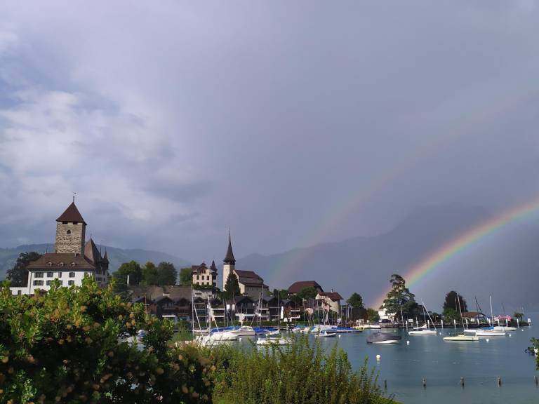 Ferienwohnung Thunersee