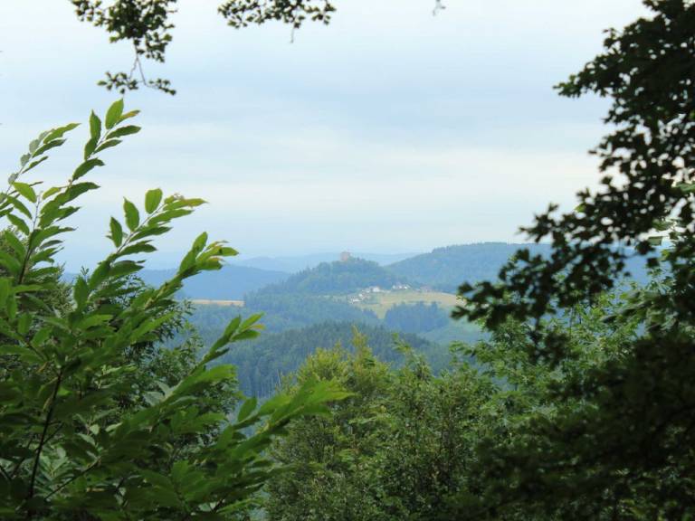 foto18