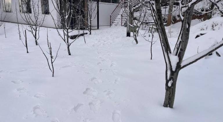 foto44