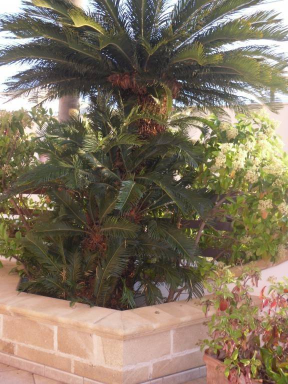 Holiday apartment with garden | Nature view — photo 4