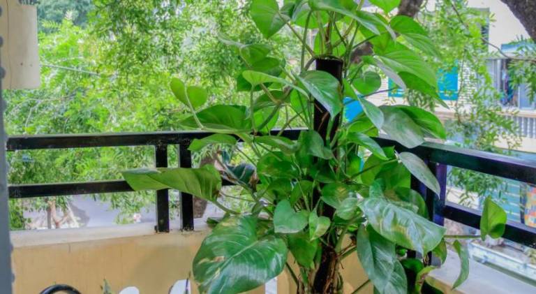 Hanoi family homestay — photo 3