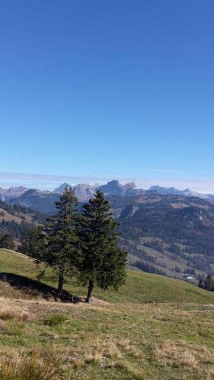 foto13