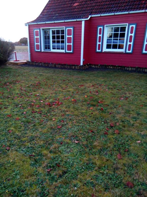 foto21