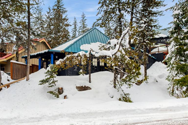 Cabin  Government Camp