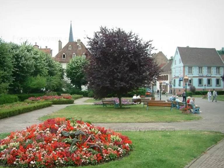 foto16