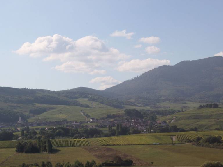 foto44