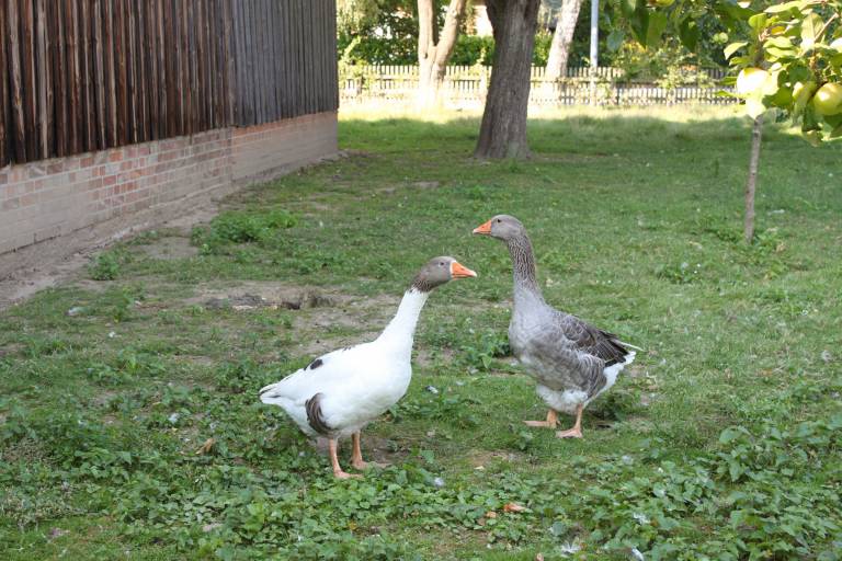 foto23