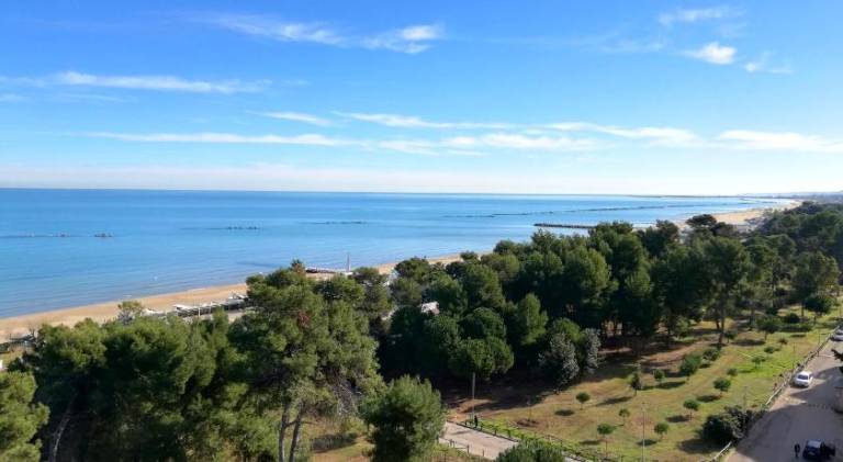 Rental apartment | Close to the beach | Pets allowed — photo 4