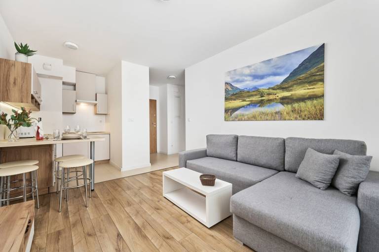 Apartament Siechnice