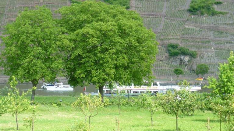 Ferienwohnung Ellenz-Poltersdorf