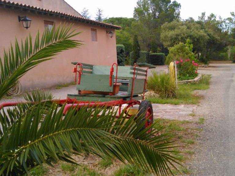 foto42