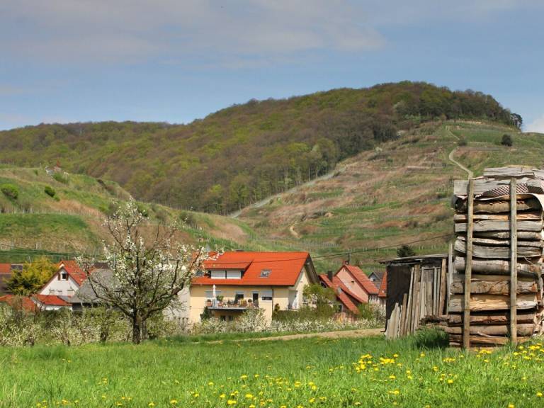 Ferienwohnung Kaiserstuhl