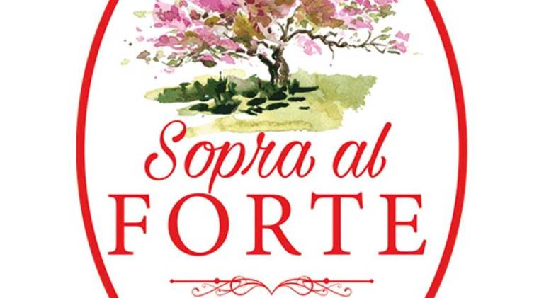 Sopra al FORTE in Pietrasanta