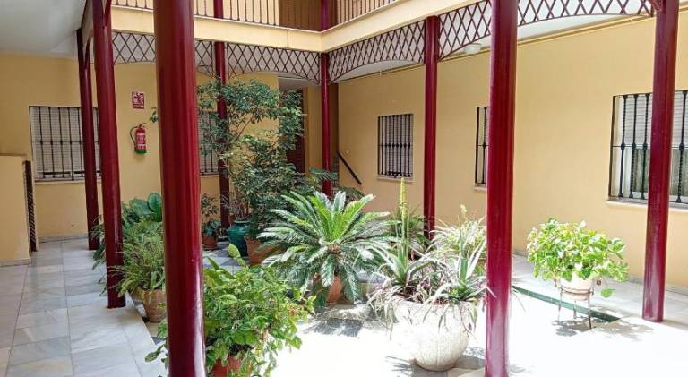 Apartment | Next to Seville Cathedral — photo 5