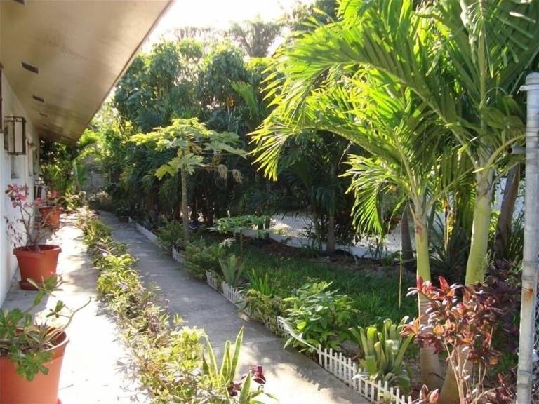 Apartment  Paradise Island