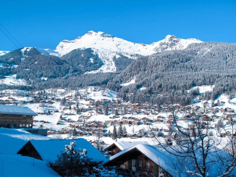 Apartament Grindelwald