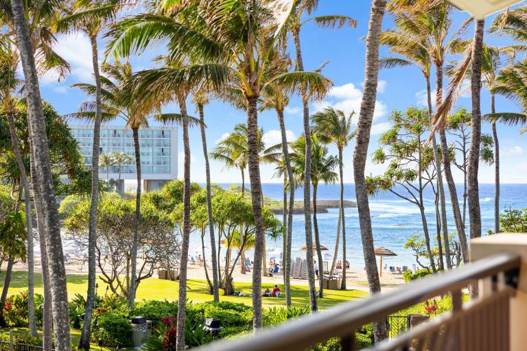 Villa  Turtle Bay