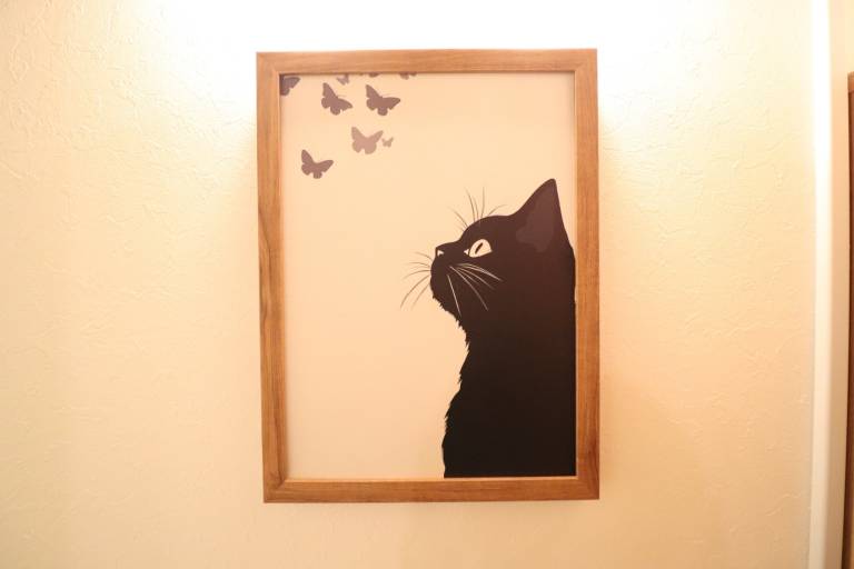 foto13