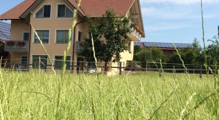 Apartment with 1 room for 3 persons in Kirchham