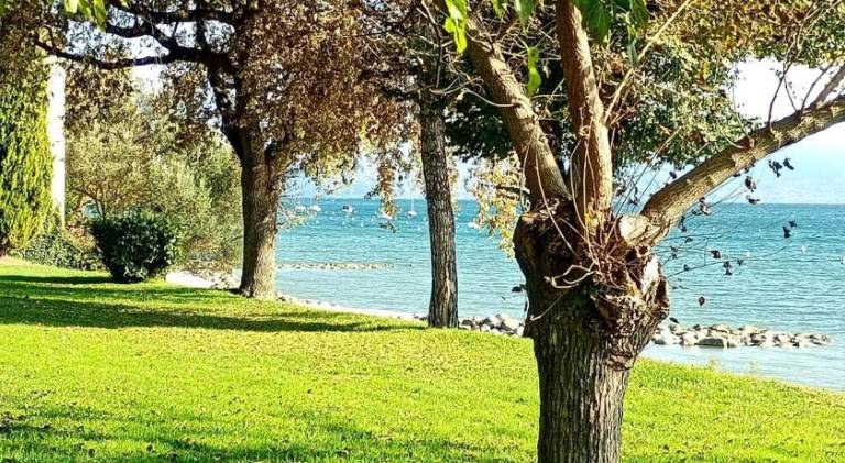 Pleasant house with pool | Pets are welcome in Manerba del Garda