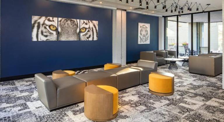 Hotel Indigo Chattanooga - Downtown By IHG — photo 5