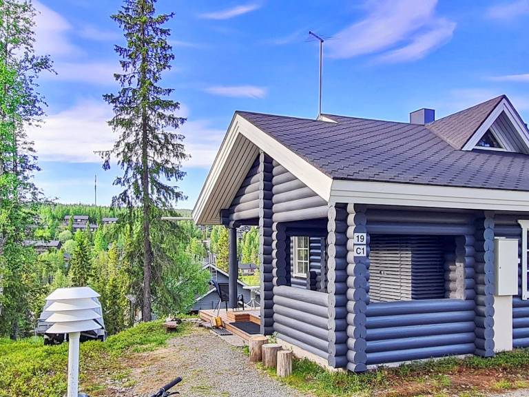 Vacation home with patio & sauna — photo 3