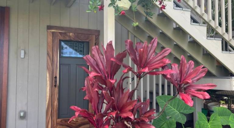 Private Ohana on the lush Hamakua coast with AC — photo 5