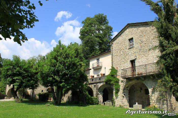 Il Glicine e la Lanterna: Barbara