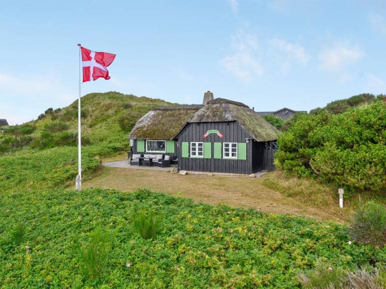House Hvide Sande
