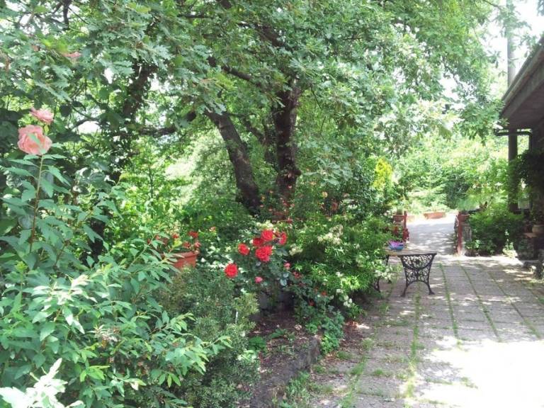 Agriturismo Cirasellaetna: Cerere — photo 3