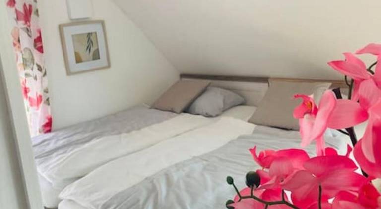 Pleasant rental apartment | Pets allowed in Osnabrueck