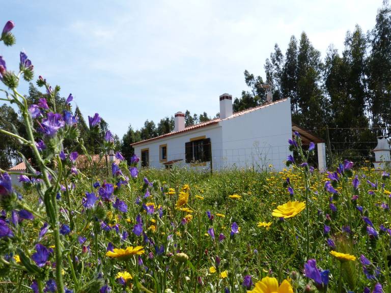 Casa Colos