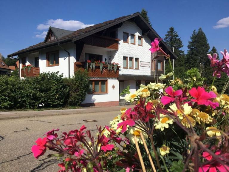 foto17