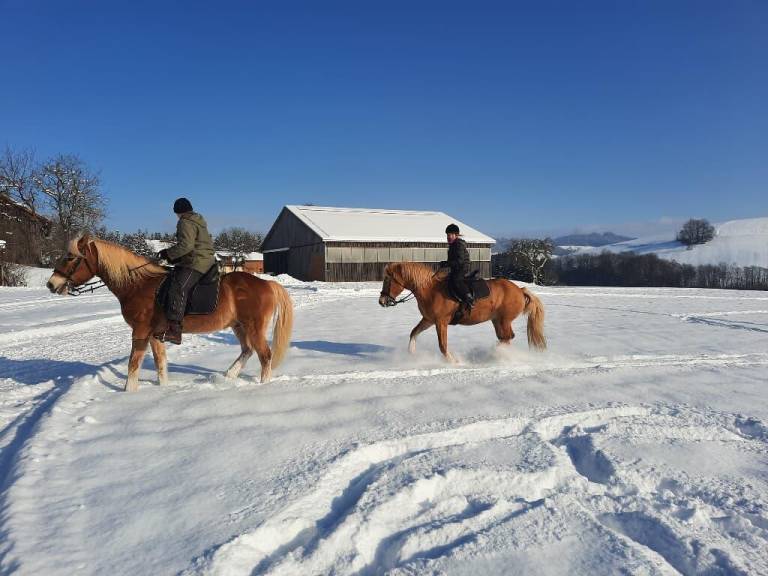 foto20