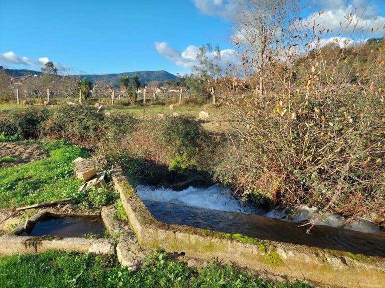 foto41