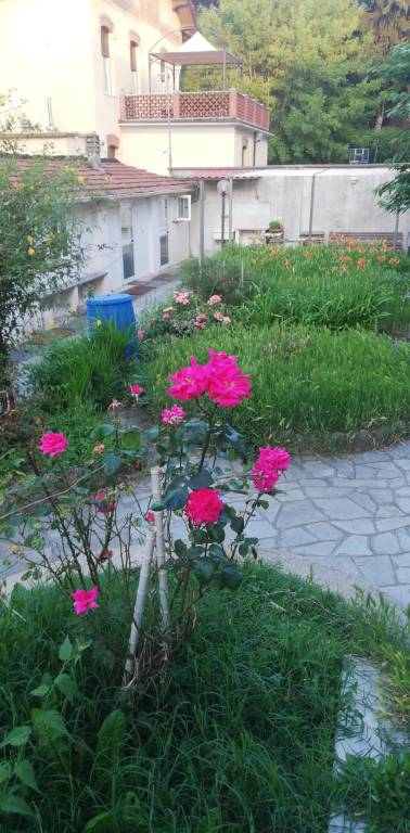 foto12