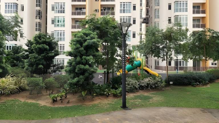 foto16