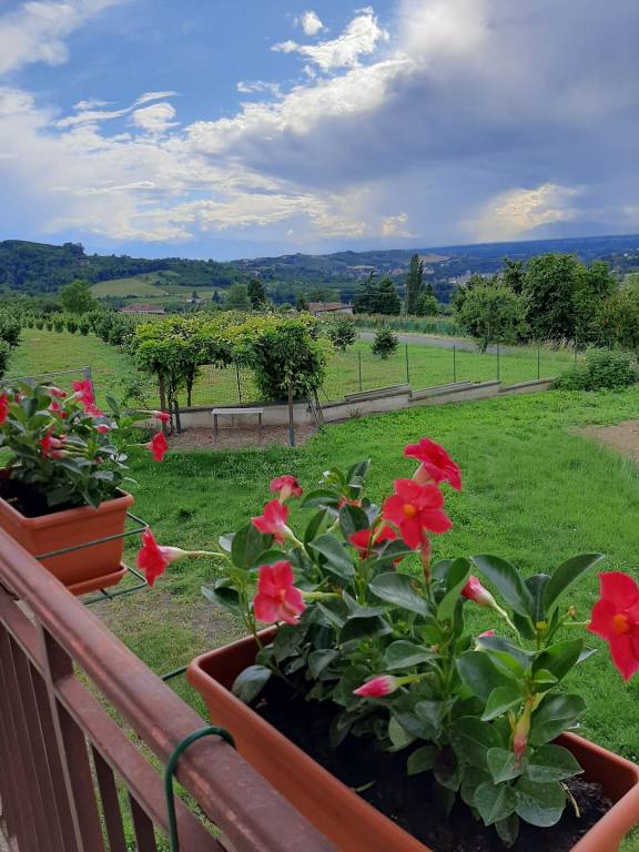 Camera privata Novello