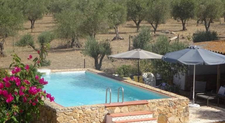 New Village in Beja