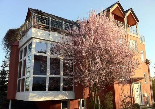 Ferienhaus  Nierstein
