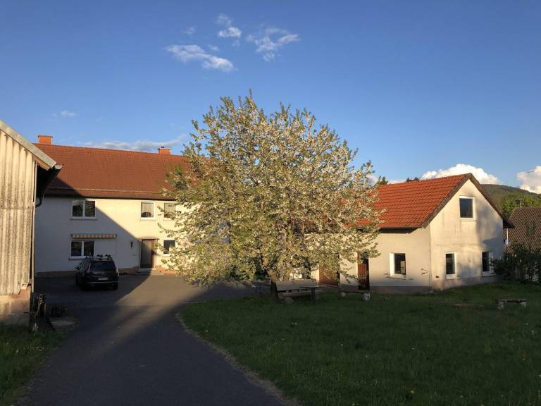 foto16