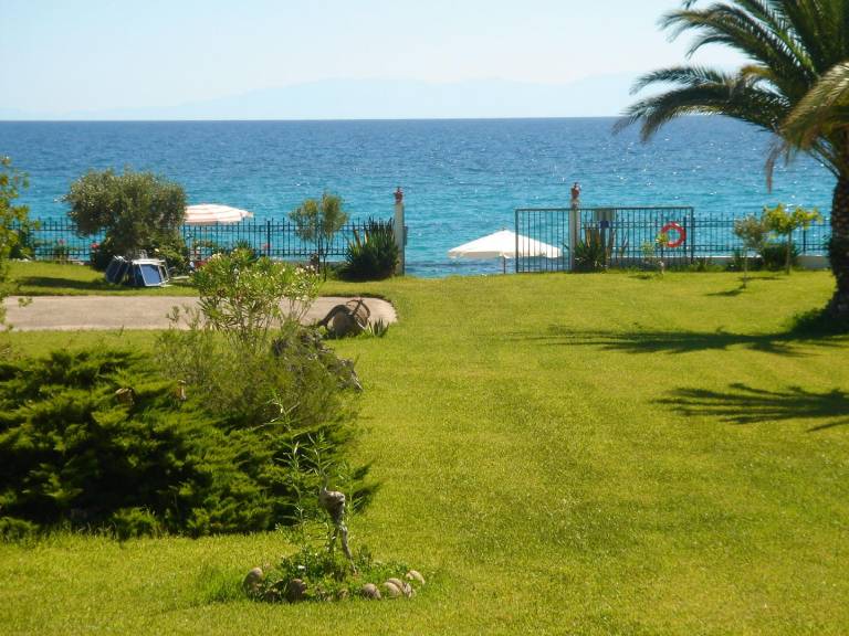 foto4