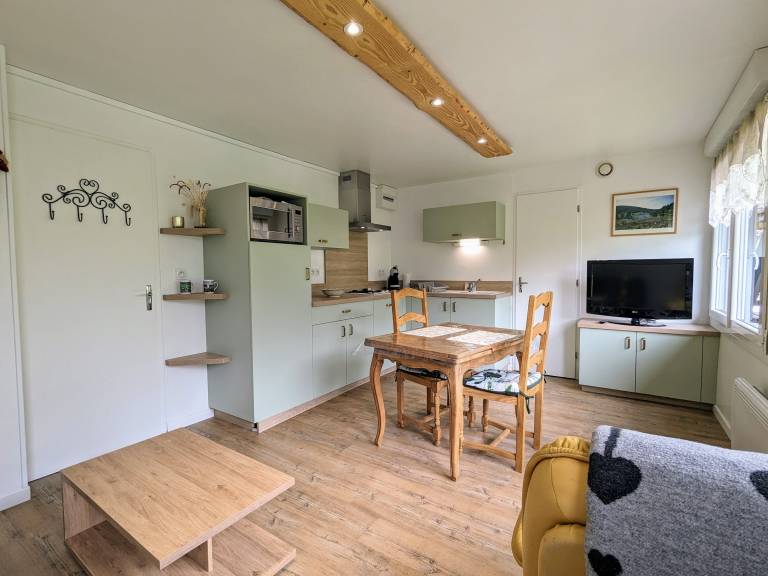 Rental apartment with barbecue in Guebwiller